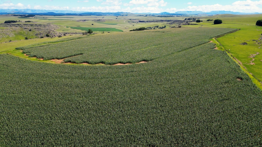 0 Bedroom Property for Sale in Maclear Rural Eastern Cape